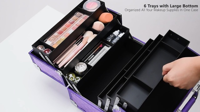 Amazon.com : FRENESSA Makeup Train Case Makeup Case 12.6 Inch